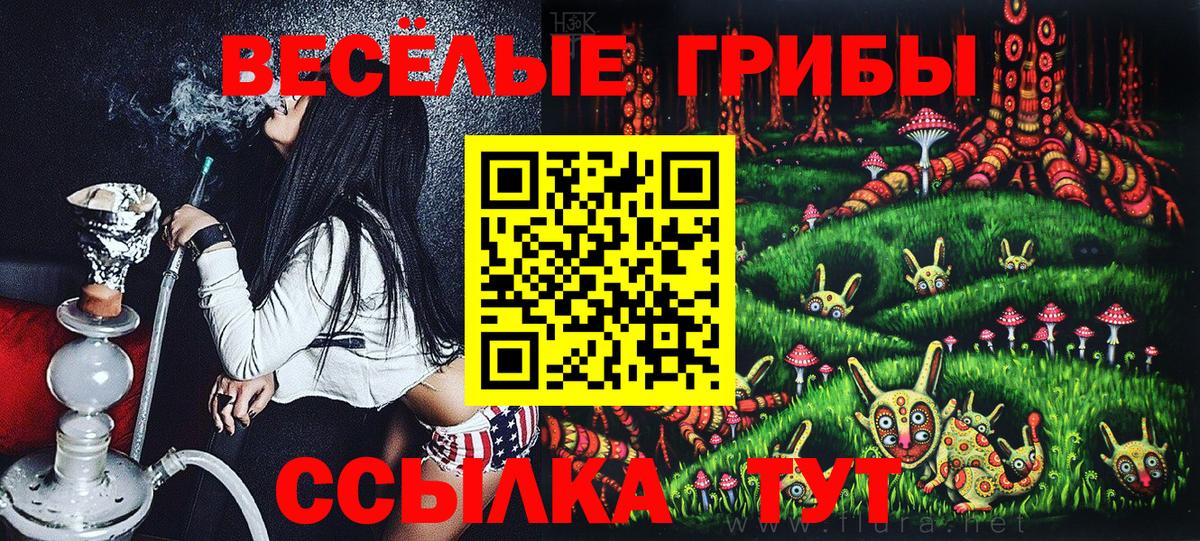 Псилоцибиновые грибы GOLDEN TEACHER  Вход с VPN  купить наркотик  Унеча 