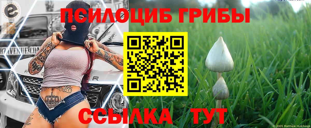 Унеча  Гашиш  Cocaine  A-PVP СОЛЬ   NBOMe  Бошки Шишки  Мефедрон кристаллы  Вход с VPN  ГАШ 