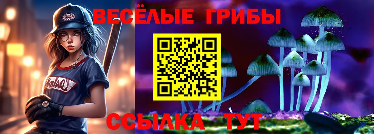 Галлюциногенные грибы прущие грибы Унеча